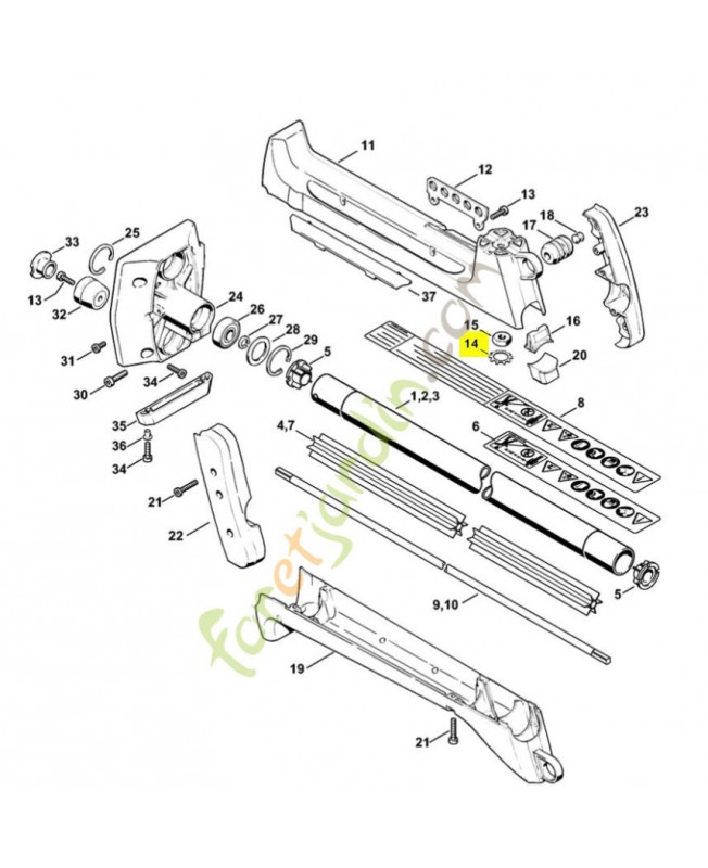 Anneau dente Anneau dente