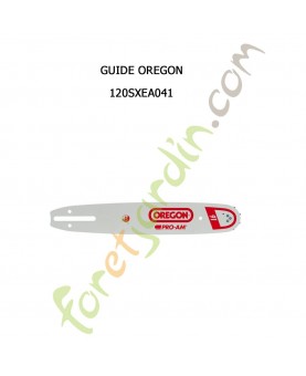 Guide 30 cm Oregon 120SXEA041