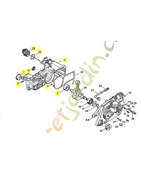 Demi carter vilebrequin