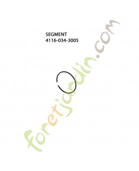 Segment