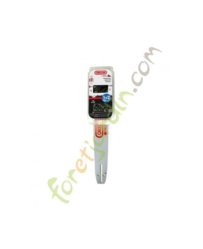 lot guide et chaines oregon 160sdea041