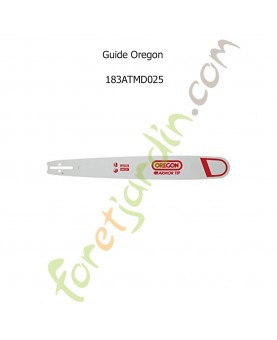 Guide chaine tronconneuse Oregon