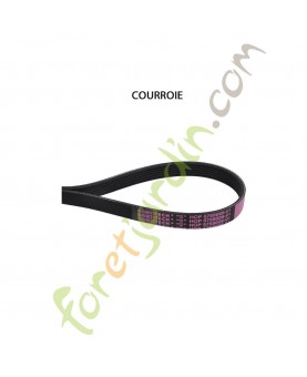 courroie