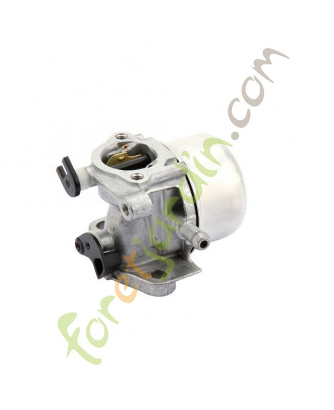 799871 Carburateur 799871 Carburateur