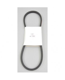courroies-FGP420823 