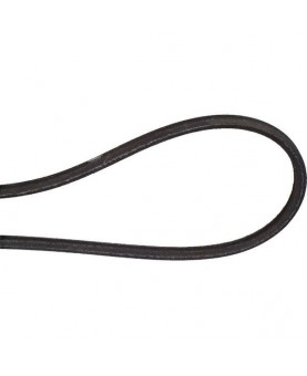 courroies-serie-profil-aa-60-FGP016418