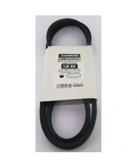 courroies-FGP420845