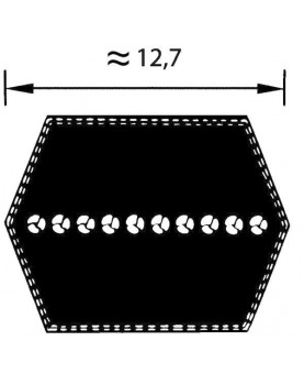 courroies-serie-profil-aa-79-FGP016407