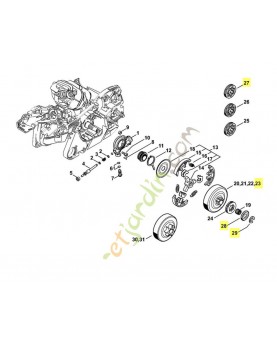 Jeu de pignon anneau 3/8p 7dt