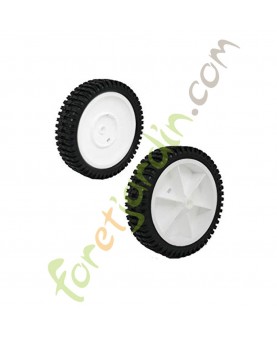 Wheel & tire assembly