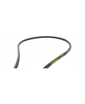 Courroie hexagonal mits