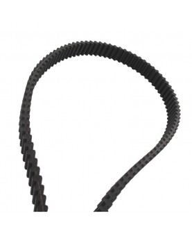 Courroie DS8M160020M