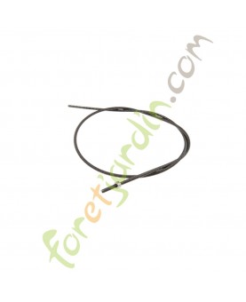 Flexible de transmission