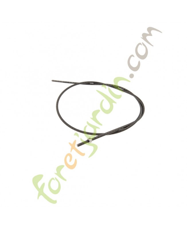 Flexible de transmission