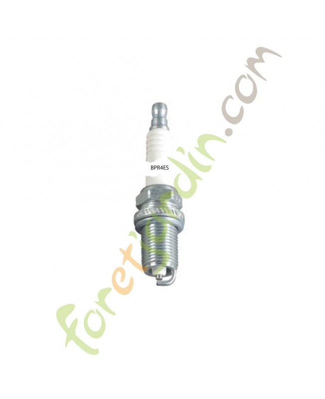 bougie_bosch_ngk_champion_oregon_773001