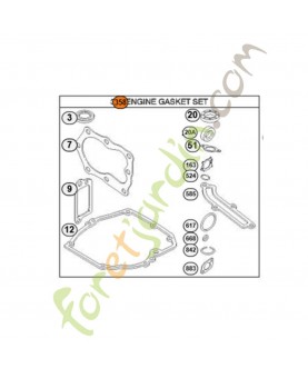 590508 Pochette joints moteur. Pièce de rechange pour moteur thermique Briggs et Straton