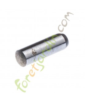 Goupille référence 720123351