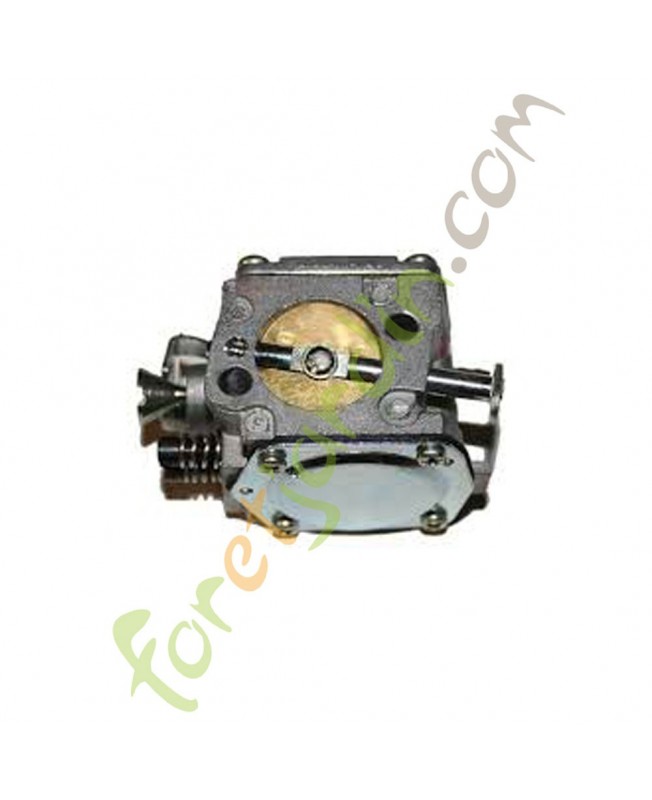 Carburateur référence 574331601