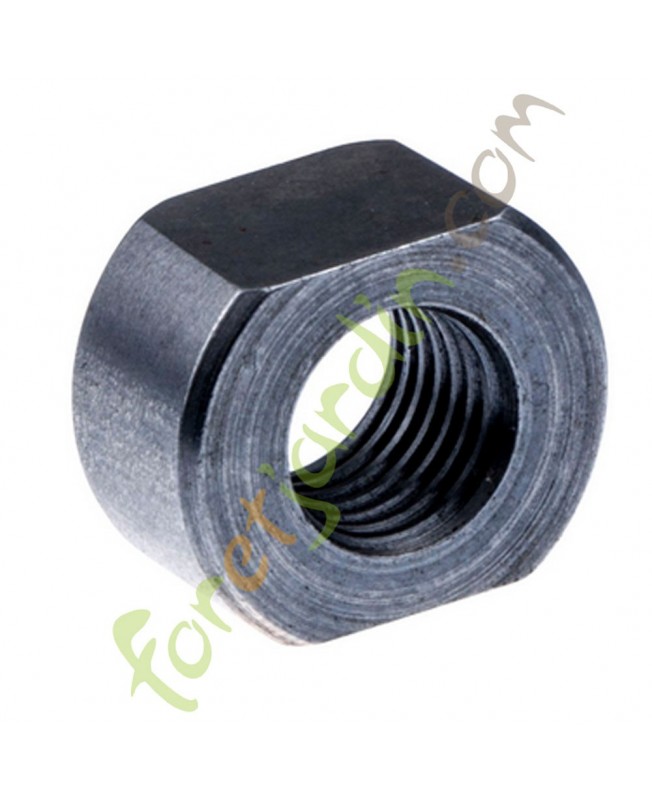 Ecrou référence 503982001