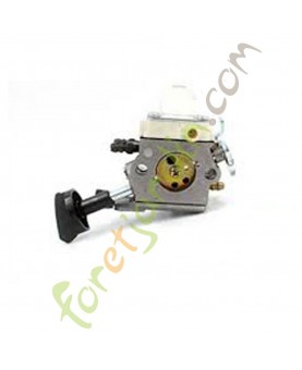 Carburateur c1m-s203 référence 4241-120-0607