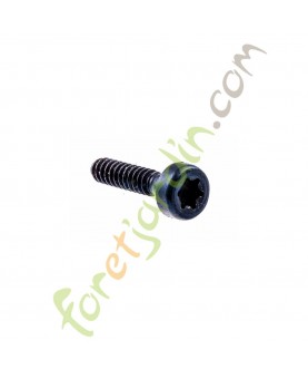 Vis référence 525824801