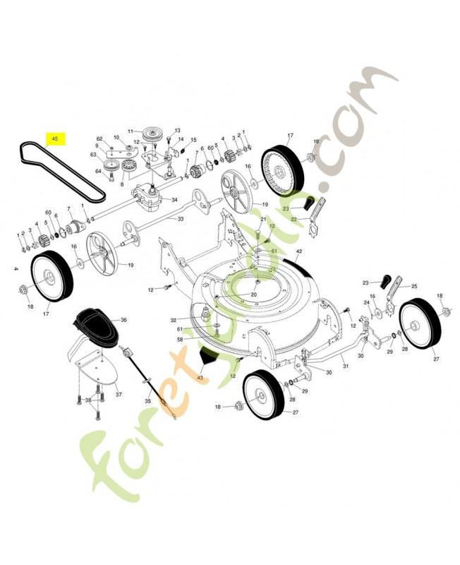 Courroie d'avancement
