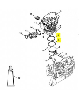 Segment