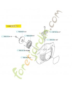 Lanceur complet Husqvarna