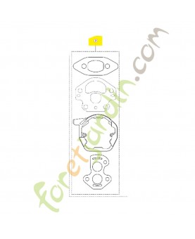 Kit gasket gasket