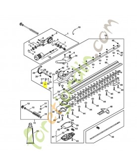 Segment à crans 4243-708-6202. Pièce détachée Stihl / Vicking