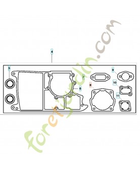 Joint embase cylindre 503491001