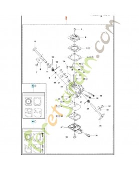 Carburateur 576019801
