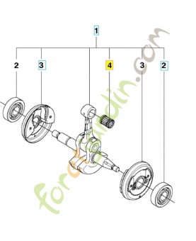 roulement à aiguille