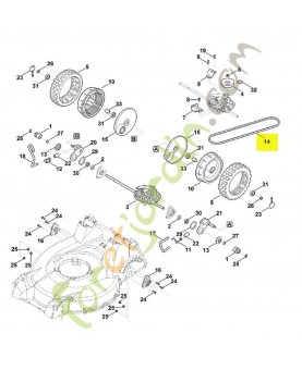 Courroie trapezoidale