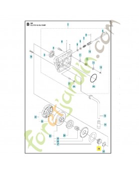 Engrenage a vis référence 501513801