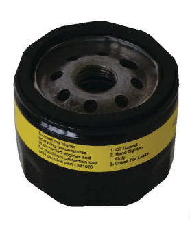 Filtre à huile  842921 pour briggs et stratton