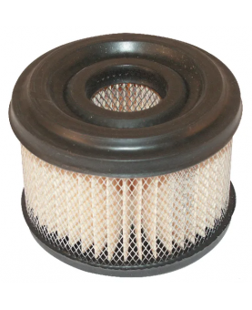 Filtre à air rond  390492 pour briggs et stratton