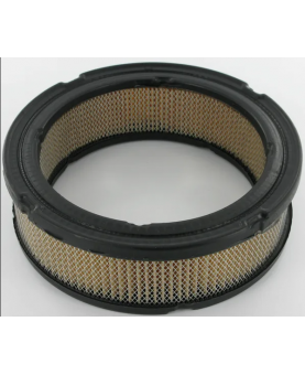 Filtre à air rond  841359 pour briggs et stratton