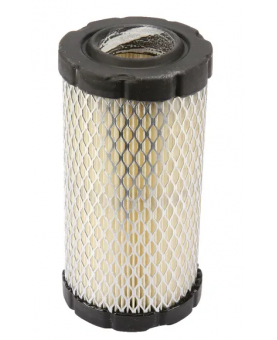 Filtre à air rond  793569 pour briggs et stratton