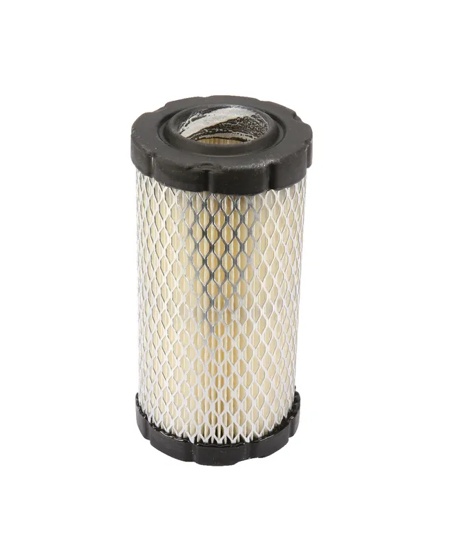 Filtre à air rond  793569 pour briggs et stratton