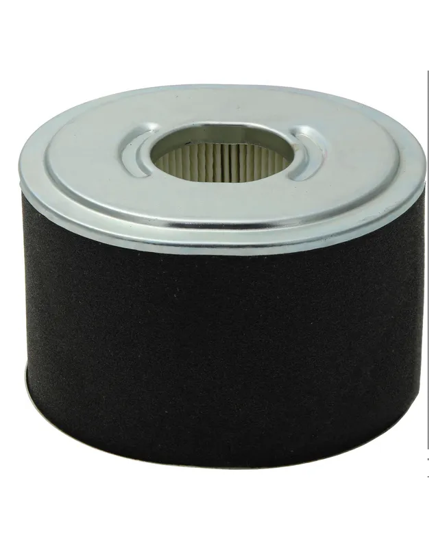 Filtre à air rond 592605 pour briggs et stratton Filtre à air rond 592605 pour briggs et stratton