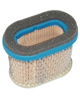 Filtre à air ovale 692446 - Briggs & Stratton