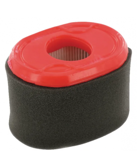 Filtre à air ovale 796970 - Briggs & Stratton