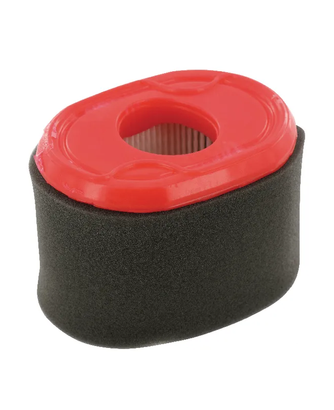 Filtre à air ovale 796970 - Briggs & Stratton Filtre à air ovale 796970 - Briggs & Stratton