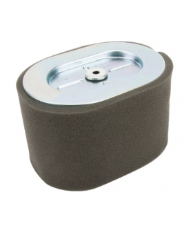 Filtre à air ovale 799818 - Briggs & Stratton