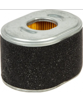 Filtre à air ovale 594146 - Briggs & Stratton
