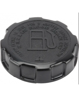 Bouchon de réservoir 710490 Briggs & Stratton