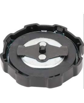 Bouchon de réservoir 794641 Briggs & Stratton