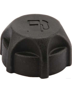 Bouchon de réservoir 791129 Briggs & Stratton