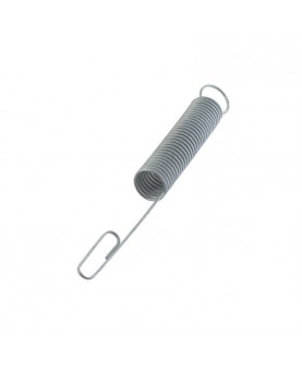 Ressort de régulateur Briggs & Stratton 262299